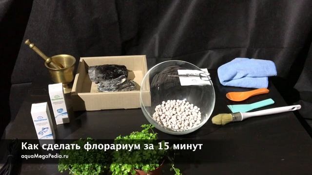 Флорариум своими руками за 15 мин. (пошаговая инструкция) смотреть онлайн
