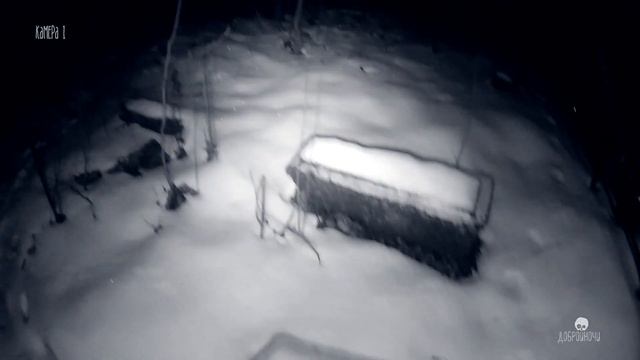 Заброшенное кладбище фон Мекк. Старые могилы. Тула - ДОБРОЙНОЧИ #19 смотреть онлайн