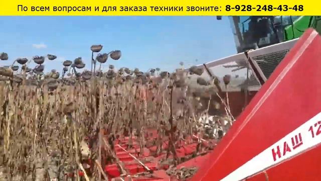 Подсолнечная жатка НАШ. Уборка подсолнечника. смотреть онлайн