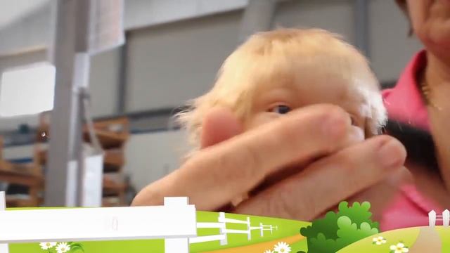 Производство испанских кукол Muñecas Arias
