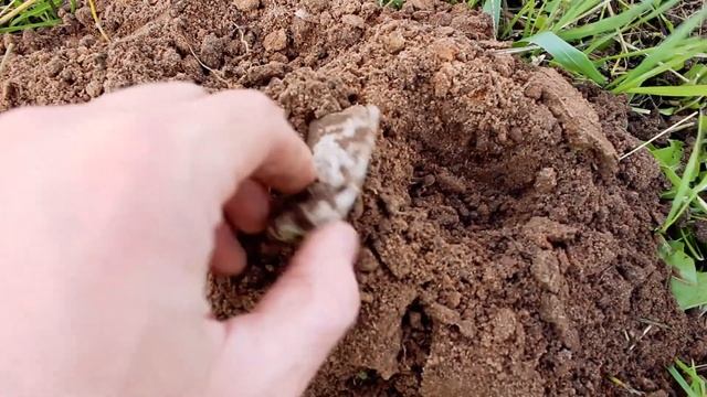 Поиск монет с подписчиками НА ХУТОРЕ / COINH UNTING on the farm смотреть онлайн