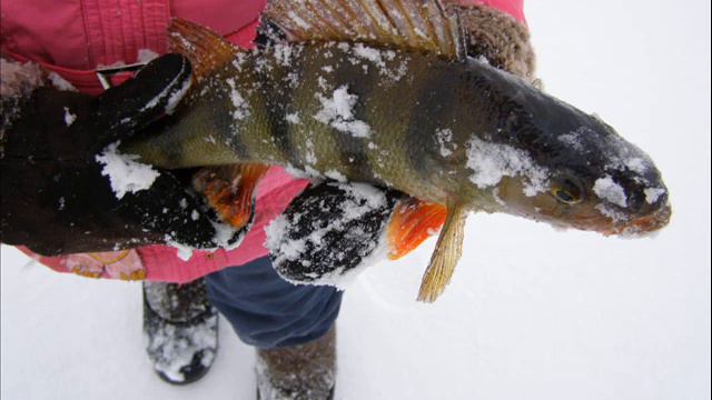 г.Амоксяр РК "ТИХИЙ ОМУТ" Чувашия 05.01.2012.wmv смотреть онлайн