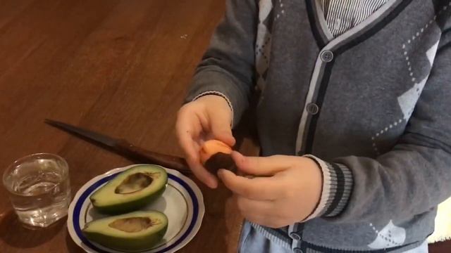 как вырастить авокадо🥑 в домашних условиях смотреть онлайн