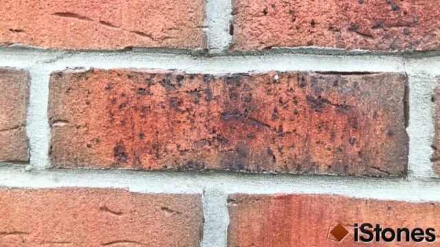 R698NF14 Sintra terracotta bario - Feldhaus Klinker смотреть онлайн