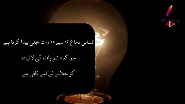 SONE Ke MUTALIQ NAFSIYAT Kia Kehti Hai | 40 PSYCHOLOGICAL Facts in URDU смотреть онлайн