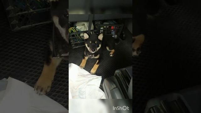 Распаковка заказа 08/2022. смотреть онлайн