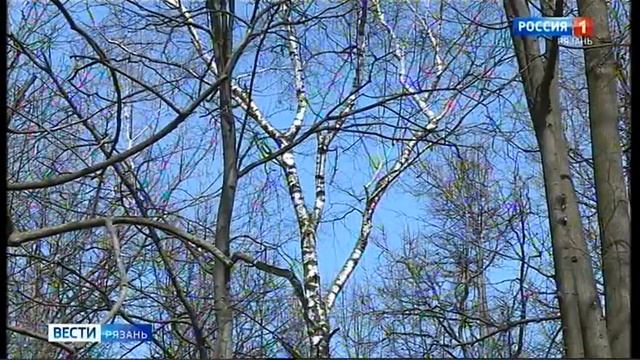 Руководство по Творчеству