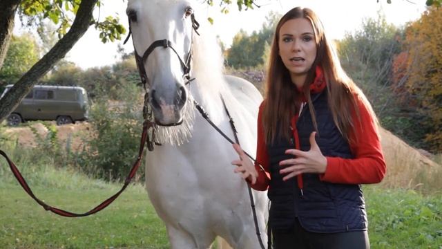 Фотосессия с лошадью. Опасно ли фотографироваться с лошадьми? смотреть онлайн