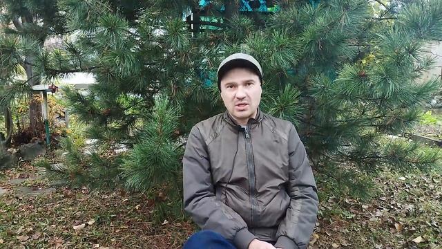 Сущность России. Мужчинам здесь не место. смотреть онлайн