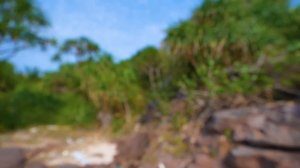 Остались НАВСЕГДА на НЕОБИТАЕМОМ ОСТРОВЕ!!!! *День 3*