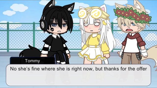 If F!Y/N & Tommy were in “You’re not my alpha” // Gacha club // Dsmp смотреть онлайн