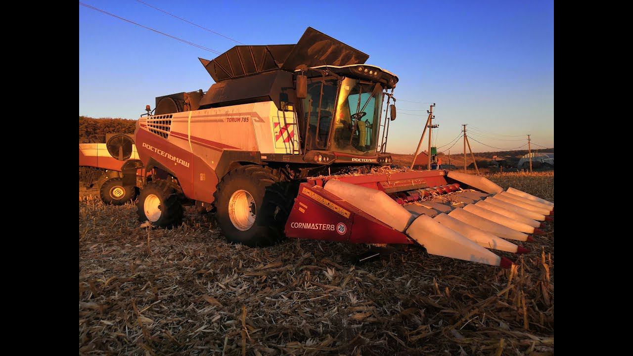 Торум 785 . Работа на кукурузе, потери, пояснения по жатке. смотреть онлайн