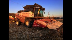 Торум 785 . Работа на кукурузе, потери, пояснения по жатке.