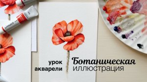 Ботаническая иллюстрация акварелью. Мастер-класс по рисованию цветов акварелью от Дарьи Репиной