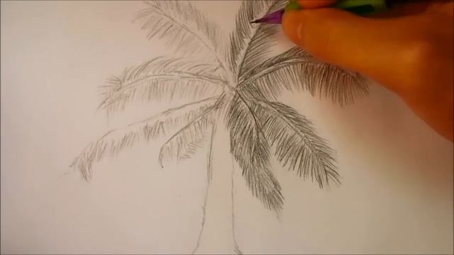 How To Draw a palm tree смотреть онлайн