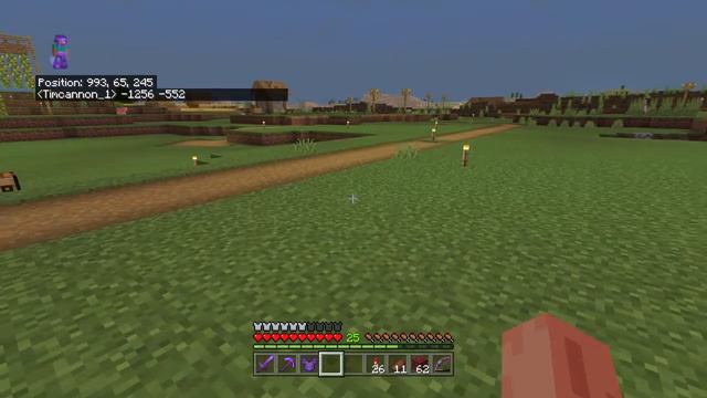 Playing in my Minecraft world episode 25 смотреть онлайн