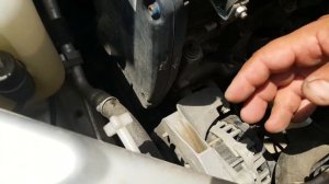 как правильно помыть подкапотное пространство на машине.