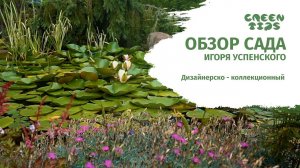 ОБЗОР ХВОЙНОГО САДА ИГОРЯ УСПЕНСКОГО. Хвойный сад