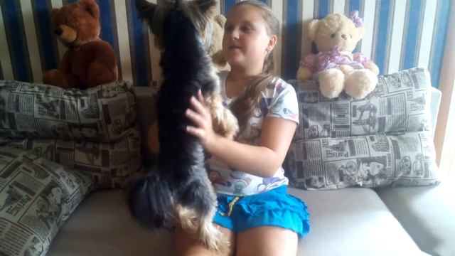 Вася. День рождения моей собаки Тимки. смотреть онлайн