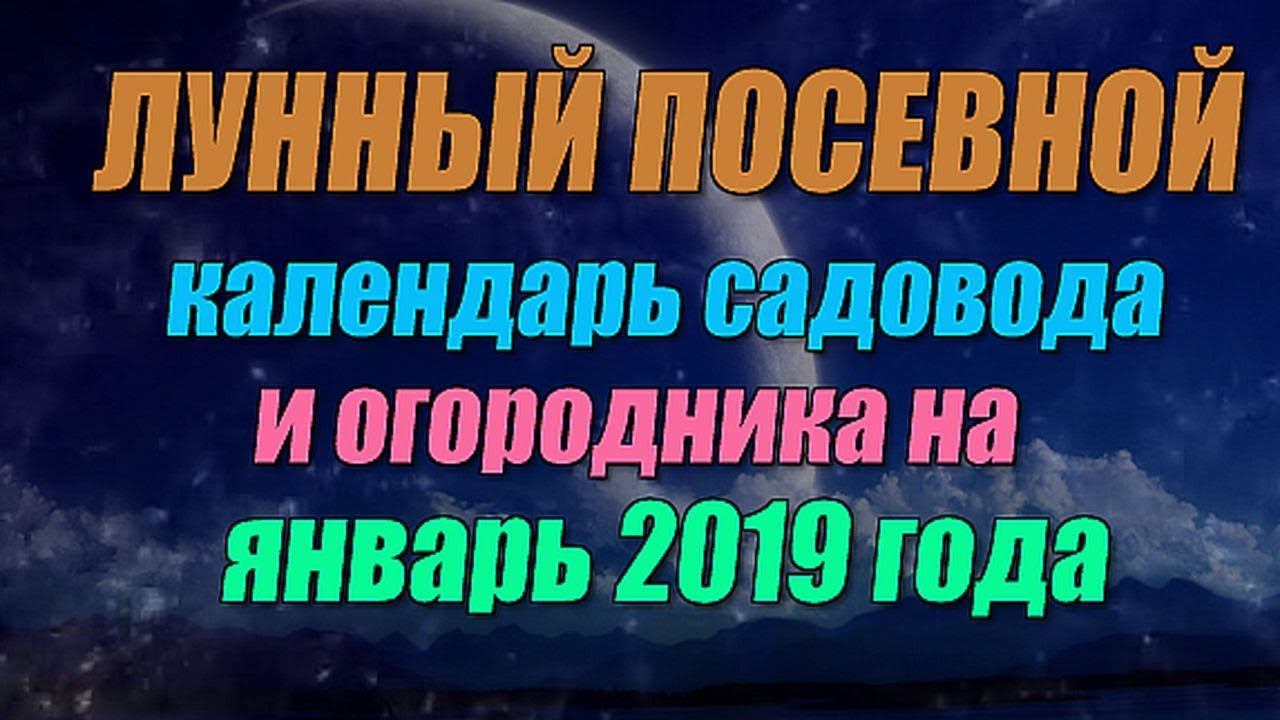 Лунный посевной календарь садовода и огородника на январь 2019 года