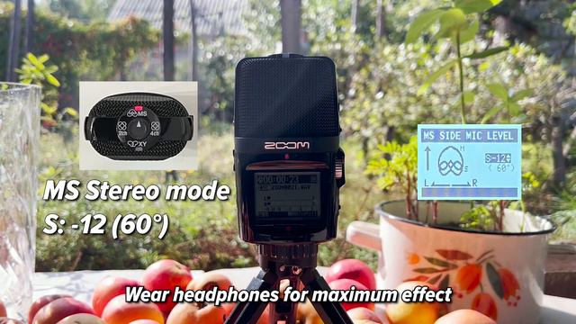 Testing Zoom H2n (All 4 Recording Modes)