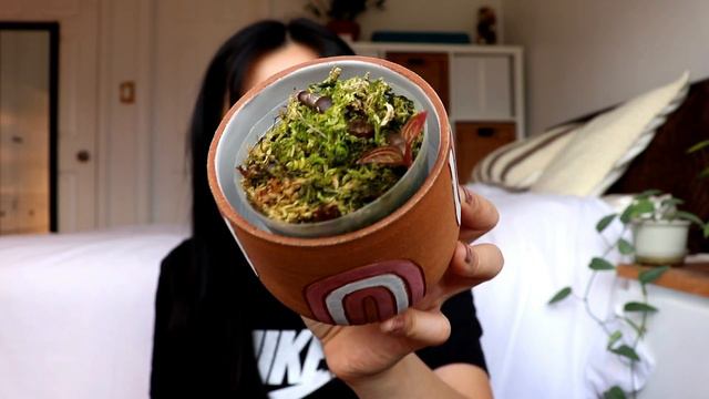 Plants I Regret Buying & Plants I Got Rid Of смотреть онлайн