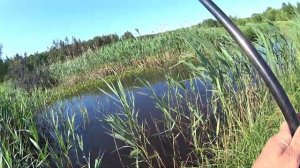 Рыбалка на боковой кивок. МОНСТ порвал леску. Рыбалка на реке.