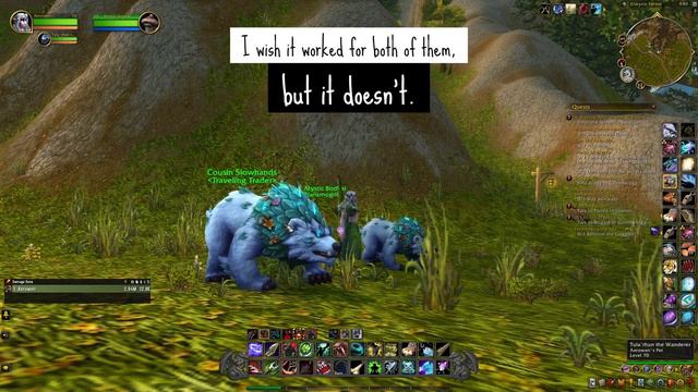 NE Hunter Sharing Beautiful Flowery Outfit Transmog with Matching Pet & Flowery Toy Dragonflight WO смотреть онлайн
