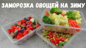 ЗАМОРОЗКА ОВОЩЕЙ НА ЗИМУ / какие овощи заморозить на зиму / как замораживать овощи