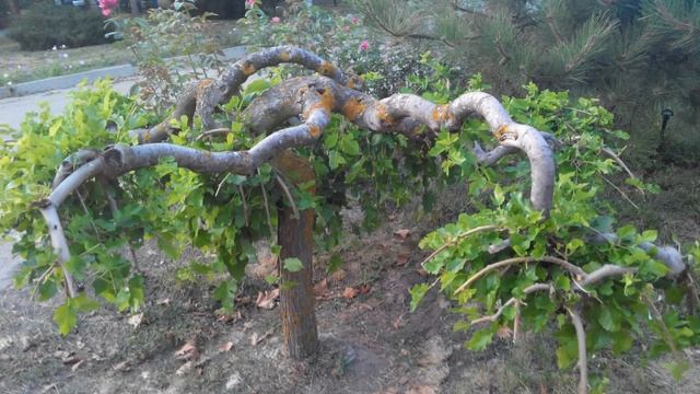 Азовское море, Новоконстантиновка 2016 / 3 часть фото смотреть онлайн