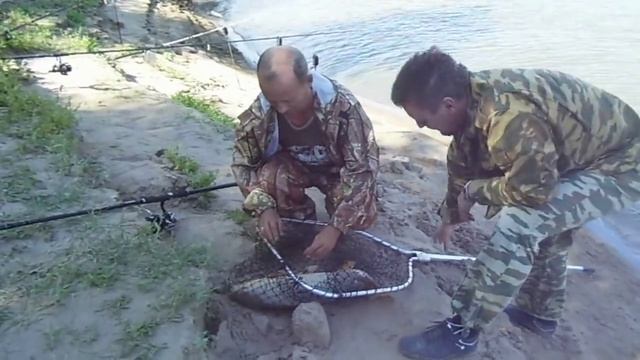 Сазан. Казахстан, река Урал смотреть онлайн