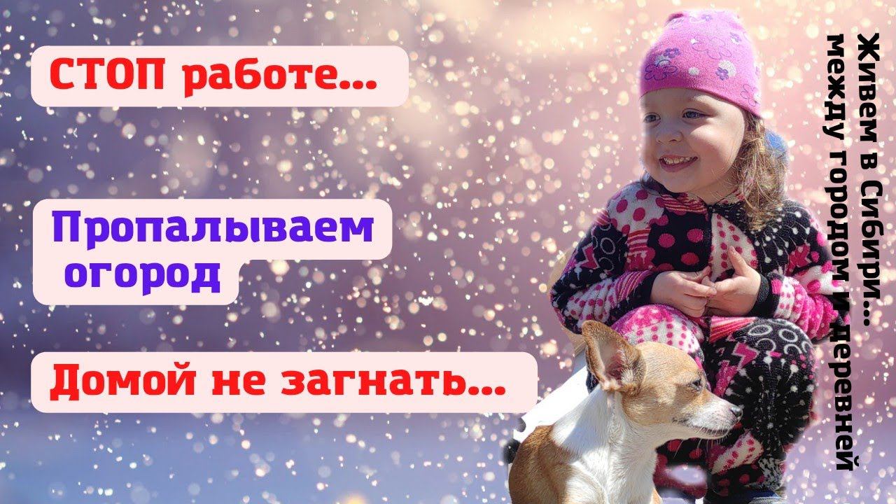 12.05.2022 Домой не загнать... Пропалываем огород. Не удалось поработать
