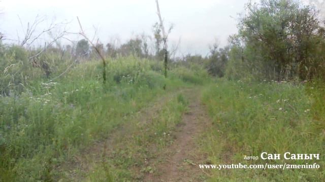 Вечером на старице клюнул один окунь на микро джиг смотреть онлайн