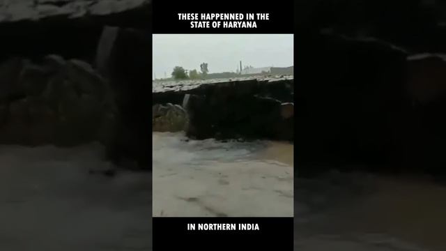 Ground rise above the water surface | Incredible смотреть онлайн