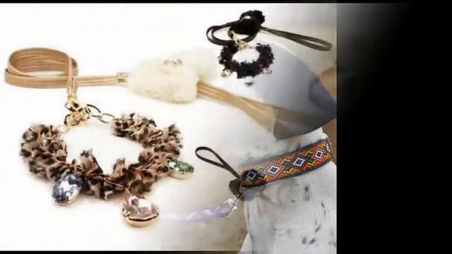 Купить ошейники +для собак смотреть онлайн