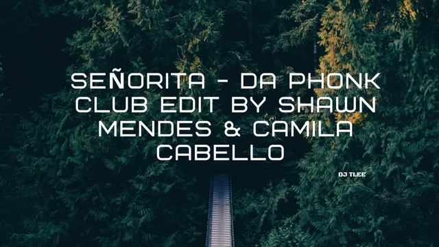Shawn Mendes & Camila Cabello - Señorita - Da Phonk Club Edit смотреть онлайн