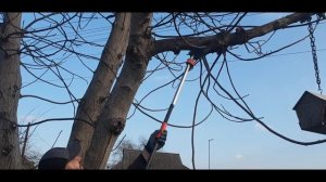 Сучкорез-высоторез Gardena Comfort StarCut 160BL / ГАРДЕНА / ОБЗОР