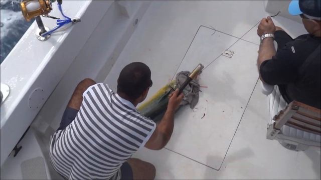 Varadero 2012 deep sea fishing смотреть онлайн