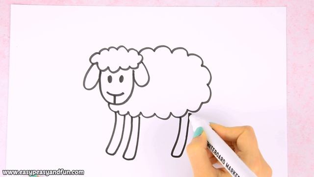 Learn How to Draw a Sheep - Easy Step by step drawing tutorial смотреть онлайн