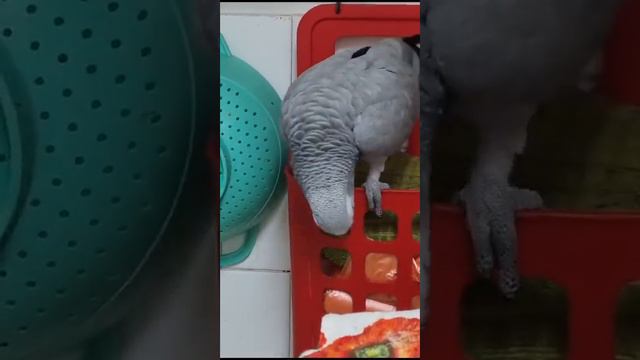 как мама будет кричать? - Хулигана!.. смотреть онлайн
