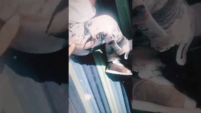 Лобода укачивает дочь Тильду. Видео: Https://www.instagram.com/lobodaofficial/