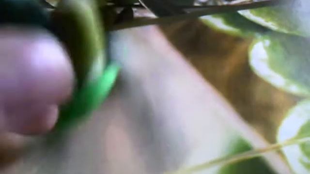 мои поделки из полимерной глины смотреть онлайн