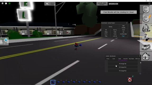 PASTEBIN Brookhaven RP Roblox Script/hack