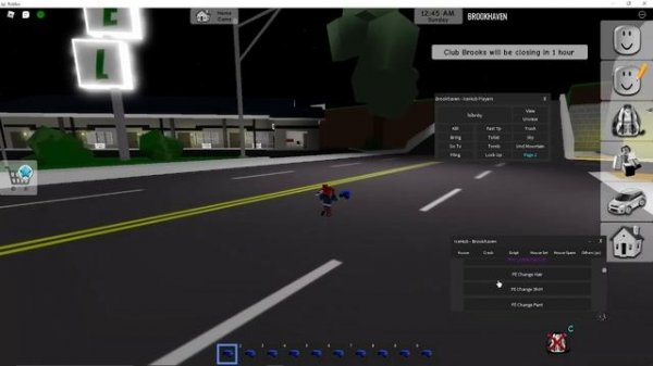 PASTEBIN Brookhaven RP roblox script/hack