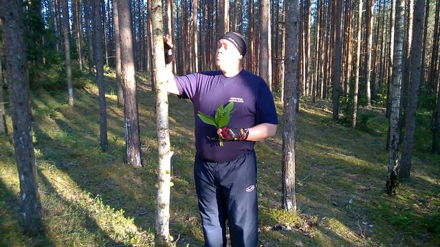 Лишь только подснежник... смотреть онлайн