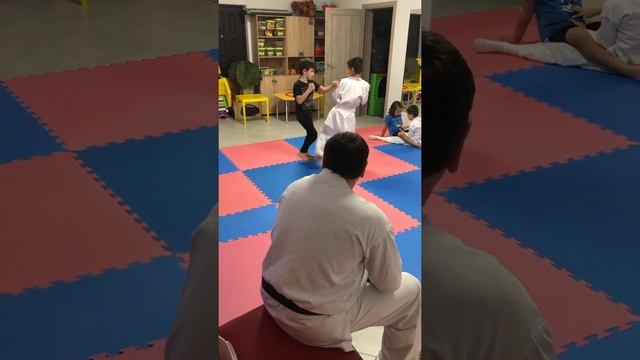 Мое начало в каратэ смотреть онлайн