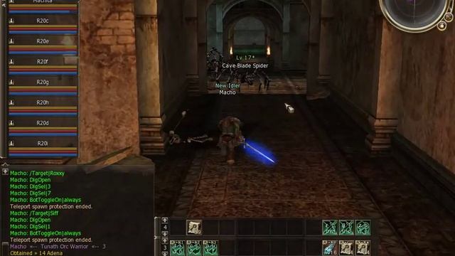 Discarded Guardian L20 - Lineage 2 Raid Boss смотреть онлайн