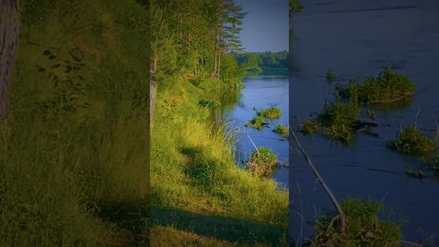 Лучшее место для ночлега. Река Вилия смотреть онлайн