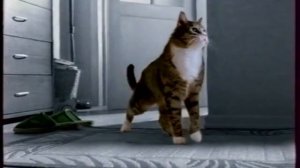 Елена Китикет (Kitekat) - Борисович круглый год чздания Хьюстон (2009) реклама