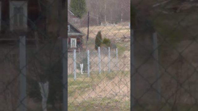 Жесть!...„Подготовка” к празднованию 75 - летия Победы смотреть онлайн